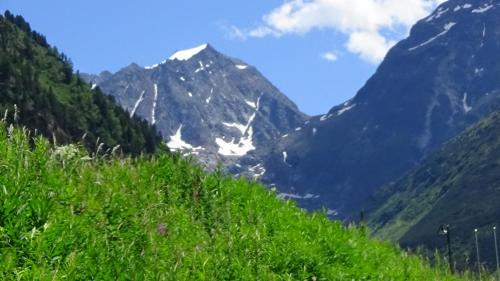 a view of a mountain from a grassy hill at Haus Bergheim in Sankt Leonhard im Pitztal