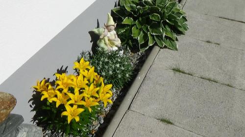 a garden with yellow flowers and a figurine of a rabbit at Haus Bergheim in Sankt Leonhard im Pitztal