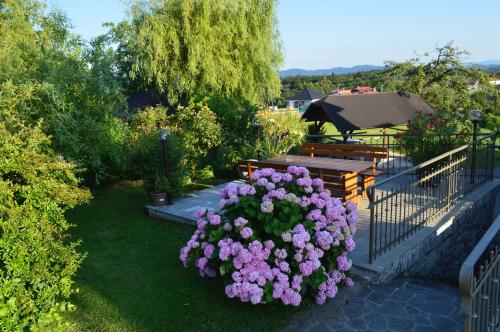 a garden with a bunch of purple flowers at Gostilna s prenocisci Danica in Slovenska Bistrica
