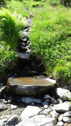 a stone path through a field of grass at Haus Bergheim in Sankt Leonhard im Pitztal