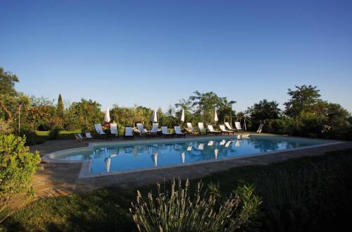 a swimming pool with lounge chairs in a yard at Agriturismo Le Calle in Cinigiano