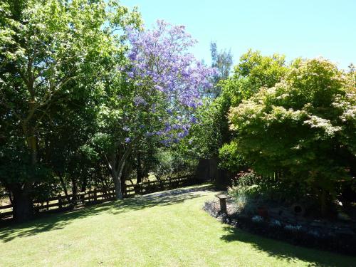 a garden with trees with purple flowers and a fence at Thorold Country House in Thames