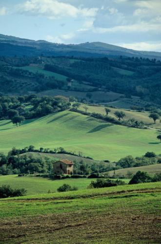 a house in the middle of a green field at Agriturismo Le Calle in Cinigiano