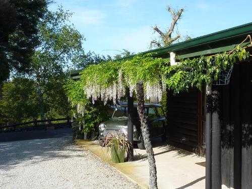 a car parked next to a building with a tree at Thorold Country House in Thames