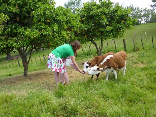 a woman is petting two cows in a field at Thorold Country House in Thames