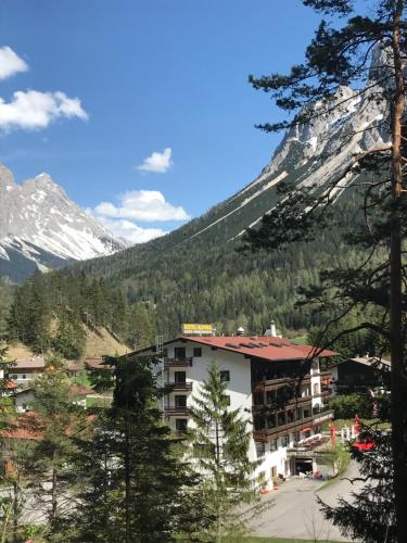 L'établissement Hotel Alpina Regina en hiver