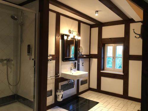a bathroom with a sink and a shower at Landhaus Schönhof in Feldberg