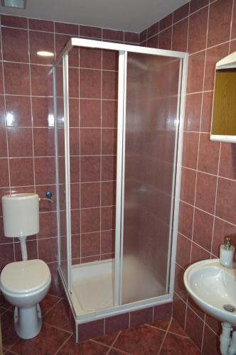 a shower in a bathroom with a toilet and a sink at Gostilna s prenocisci Danica in Slovenska Bistrica