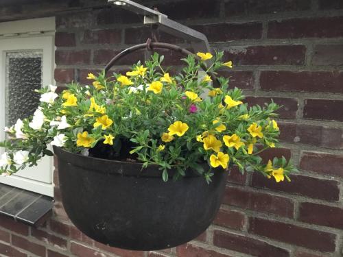 a flower pot hanging on a brick wall at B&B Op 't Eikenschoor in Soerendonk