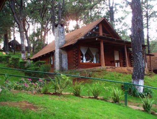 a log cabin in the middle of a forest at Sierra Paraiso Hotel in Mazamitla