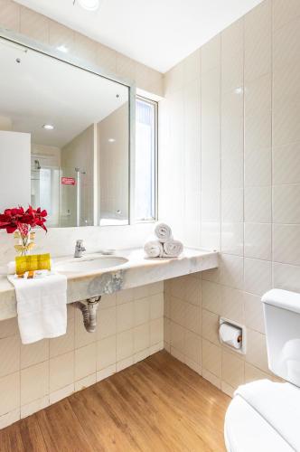 a bathroom with a sink and a mirror at Hotel Costamar Ponta Verde in Maceió