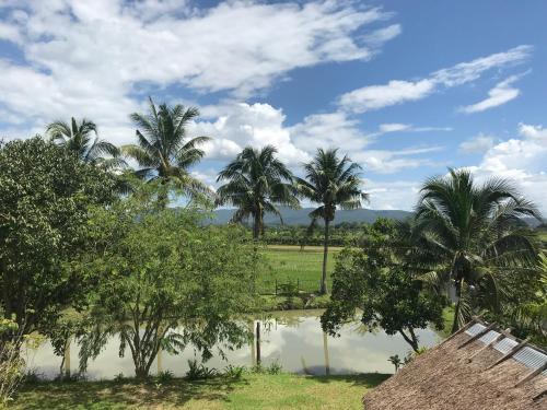 a group of palm trees and a body of water at Le Cocotier in Ban Cho Lae