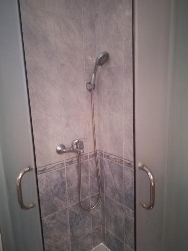 a shower in a bathroom with a glass door at Apartman Nada in Kornić
