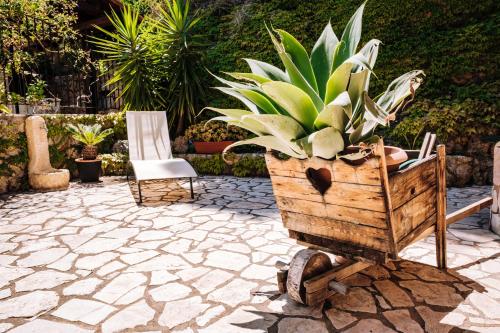 Taman di luar Villa Zabbara Capo Zafferano