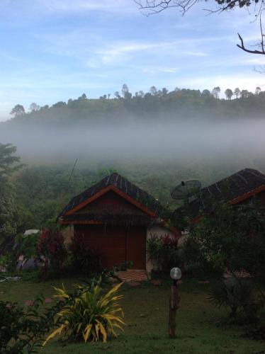 a house in the middle of a field with fog in the background at Klongsai Hills in Wang Nam Khieo