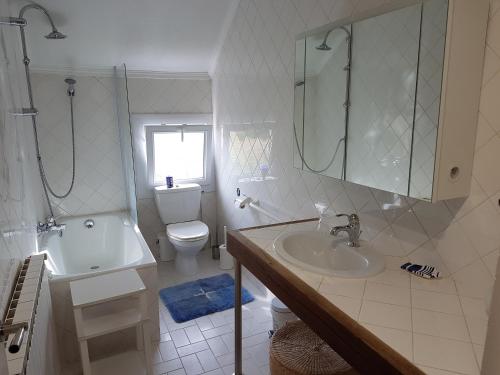 a bathroom with a sink and a tub and a toilet at La petite maison - L'Ouche Charlot in Maux