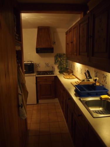 a kitchen with wooden cabinets and a sink and a stove at chata Milena in Český Dub