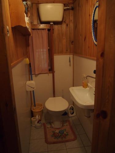 a small bathroom with a toilet and a sink at chata Milena in Český Dub