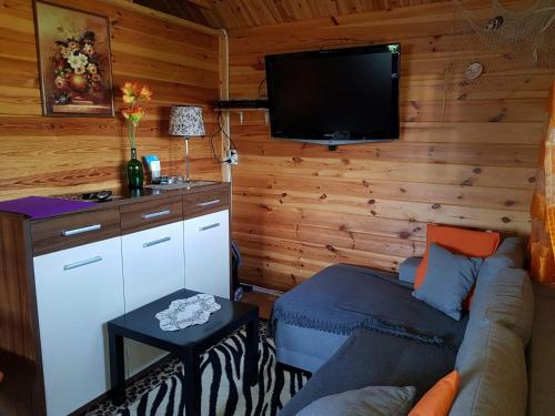 a living room with a couch and a flat screen tv at Zacisze Bałtyku in Rusinowo