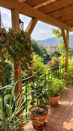 a patio with potted plants and a wooden pergola at La Casa Rosa di Segusino with SPA Jacuzzi in garden in Sequsino