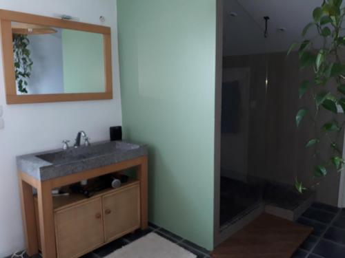 a bathroom with a sink and a mirror at Maison - Ustaritz - proche Biarritz in Ustaritz