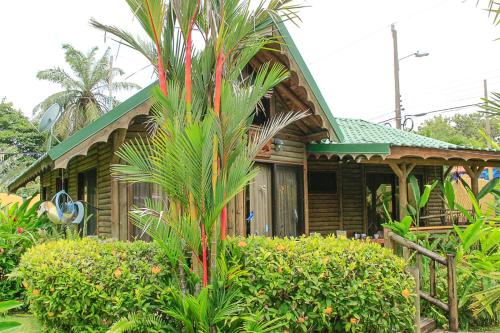 a house with a palm tree in front of it at Bungalows Ballena in Uvita