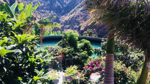 a tropical garden with a palm tree and flowers at Rivendell Eco lodge in El Paso