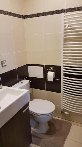 a bathroom with a toilet and a sink and a shower at Room with a High Tatras view and Fireplace in Štrba