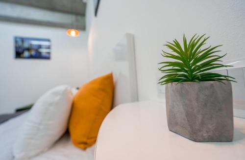 a potted plant sitting on top of a white couch at Tbilisi Apartment*Studio Gorgasali in Tbilisi City