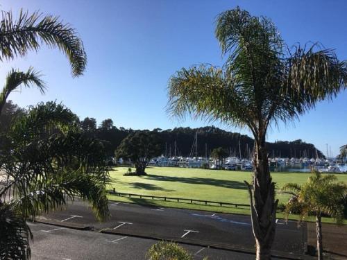 a palm tree in a parking lot next to a field at Quality Hotel Oceans Tutukaka in Tutukaka