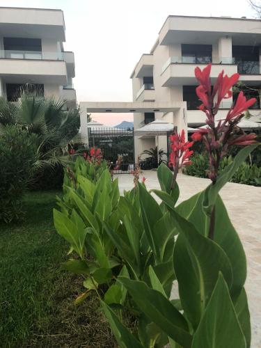 a building with a bunch of plants in front of it at Apartments Kuce Lekovica Beach & snack bar- Bistro in Bar