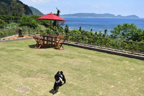a dog walking in the grass near a table with an umbrella at Sol e Mar in Tatsugo