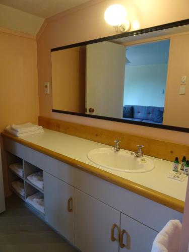 a bathroom with a sink and a large mirror at Alpine Chalets in National Park
