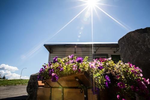 a wooden box filled with flowers in front of a building at Grandview Motel in Kamloops