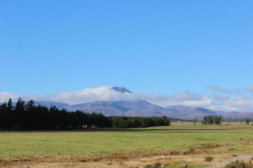 a green field with mountains in the background at Alpine Chalets in National Park