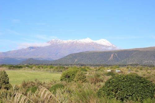 a snow covered mountain in the distance with a field and trees at Alpine Chalets in National Park