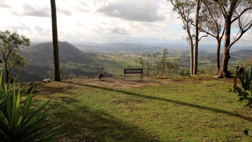 a bench sitting on top of a hill with a dog at Valley View Luxury Retreat in Vacy