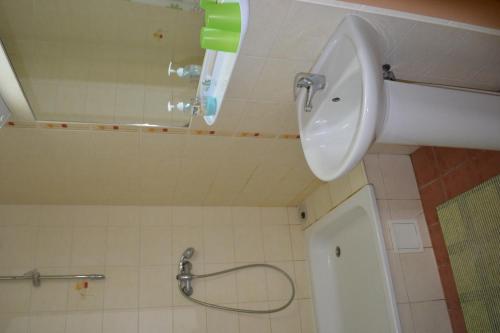 a bathroom with a sink and a shower at Vila Evelina in Druskininkai