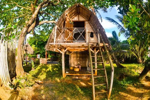 Taman di luar Chez Nath