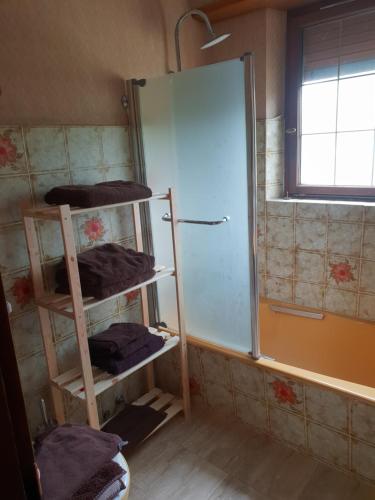 a bathroom with a shower and shelves with towels at les gites de l'océan indien in Batzendorf