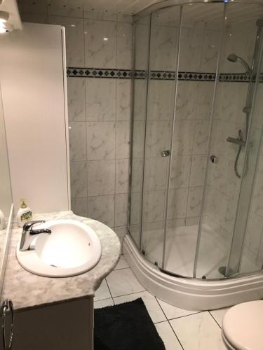 La salle de bains est pourvue d'un lavabo et d'une douche. dans l'établissement Apartment Seastar Zandvoort, à Zandvoort