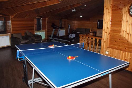 a ping pong table in a room at Bergs Hotel And Restaurant in Qax