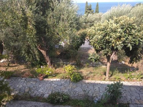 a garden with trees and a stone path at Barbara's Sea View Home in Benitses