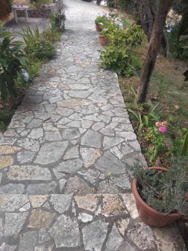 a stone walkway in a garden with potted plants at Barbara's Sea View Home in Benitses