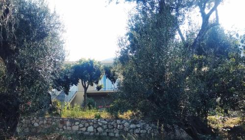 a house behind a stone wall and trees at Barbara's Sea View Home in Benitses
