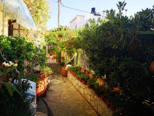 a greenhouse filled with plants and potted plants at Anthoula Sunrise in Kokkíni Khánion
