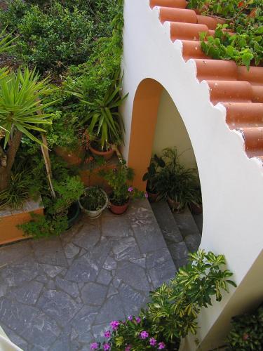a garden with potted plants and a white wall at Anthoula Sunrise in Kokkíni Khánion
