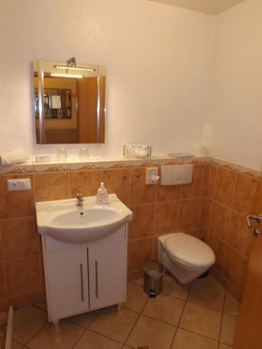a bathroom with a sink and a toilet and a mirror at Haus Oberkassel in Bonn