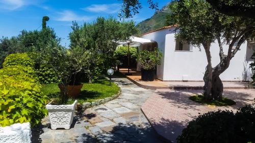 a garden with a white house with a tree at Appartamenti Luongo in Ischia