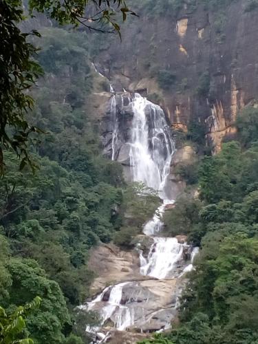 una cascata in mezzo a una foresta di Ella Ostella a Ella